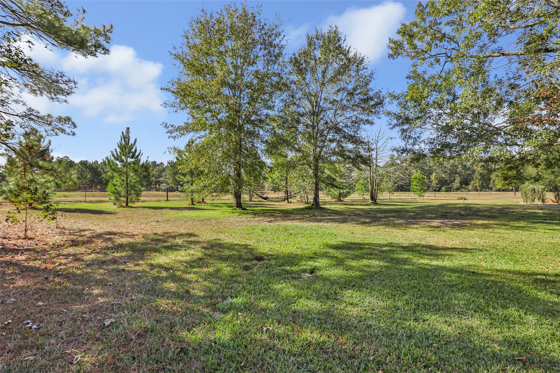 9006 Water Buck Lane Conroe, TX 77303 - Photo 4 of 48 a view of outdoor space with trees