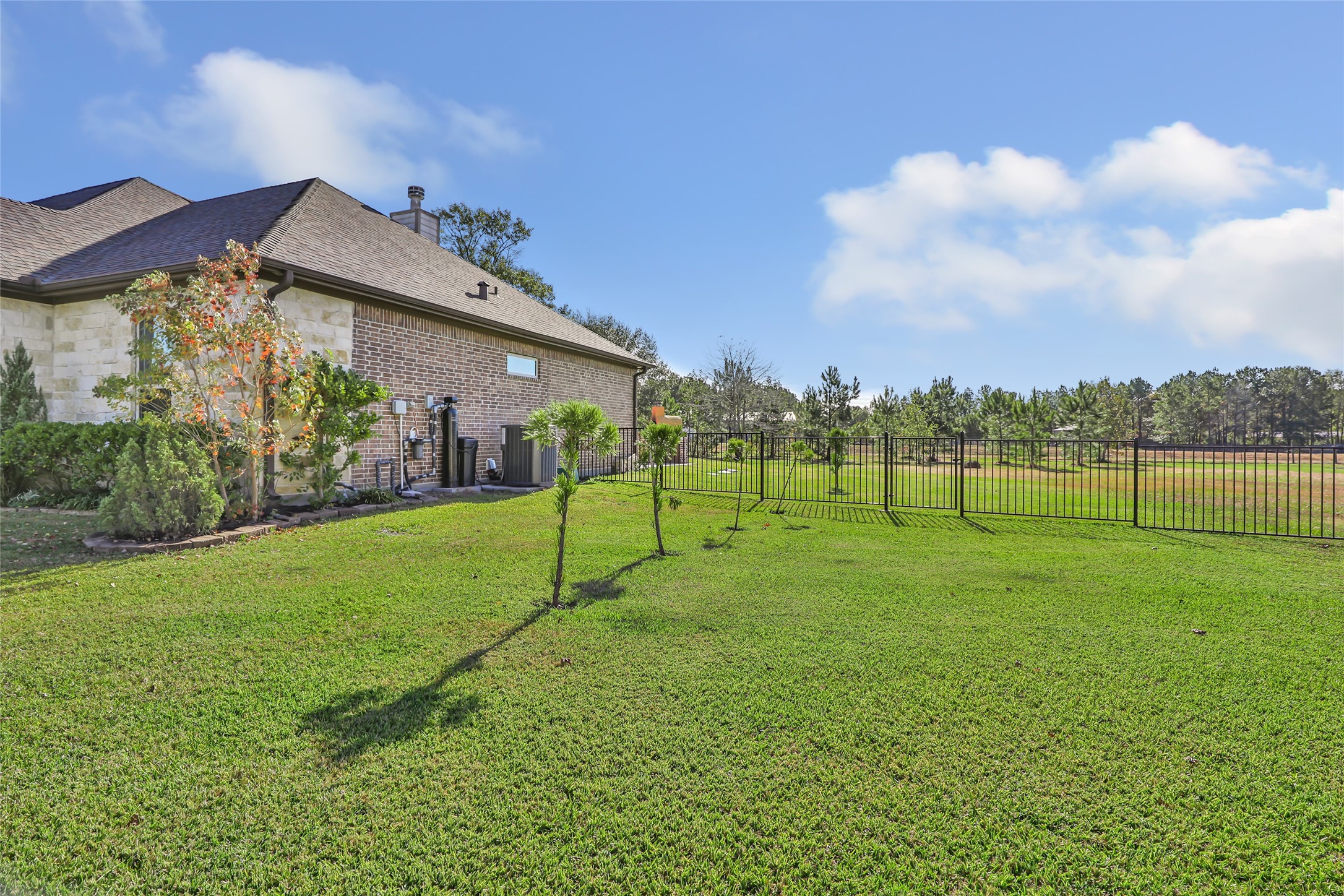 9006 Water Buck Lane Conroe, TX 77303 - Photo 9 of 48 a view of a house with a big yard and a large tree