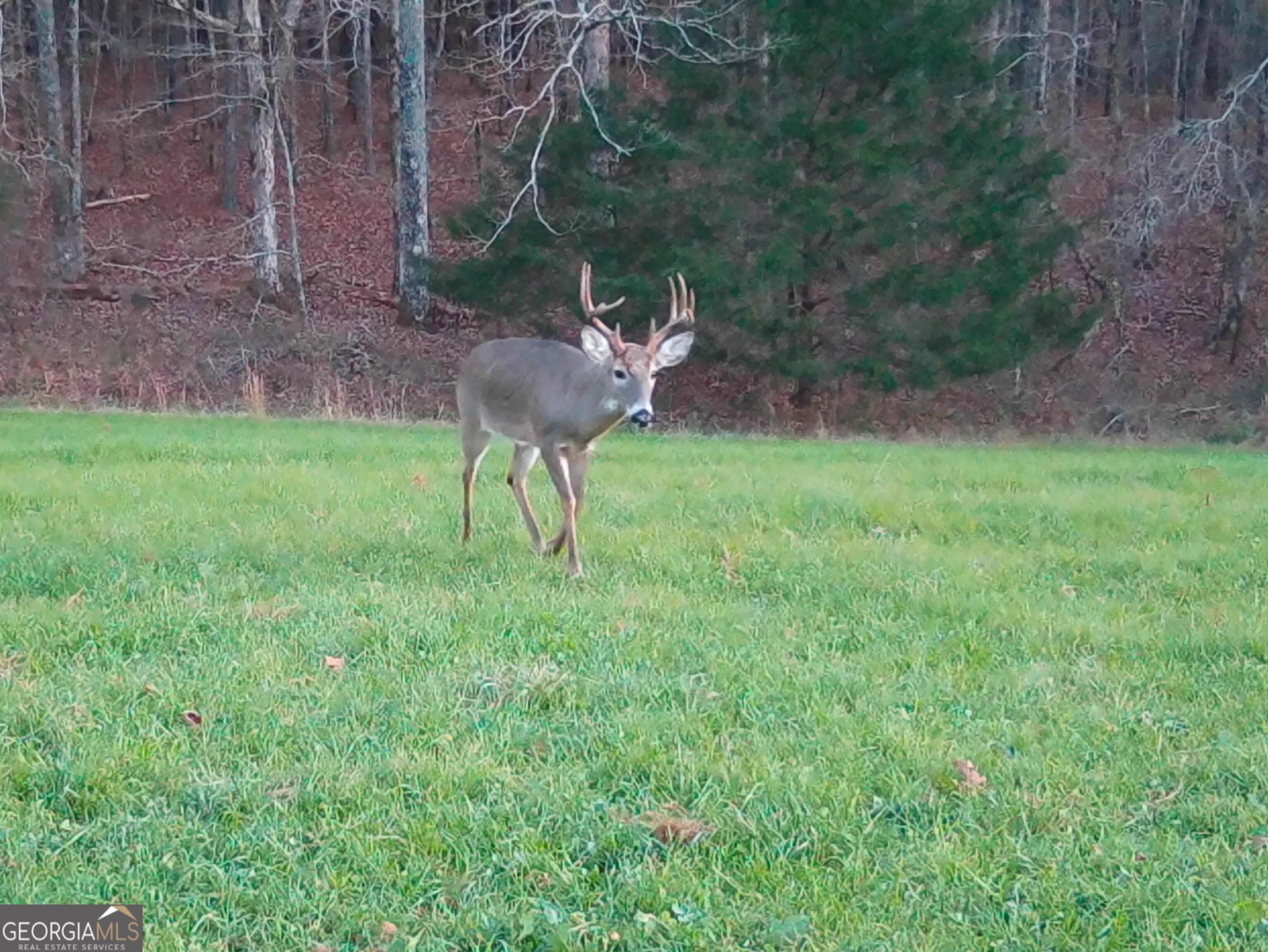 0 Vineyard Road Thomaston, GA 30286 - Photo 20 of 40
