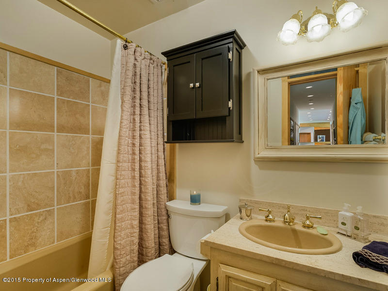 267 McSkimming Road Aspen, CO 81611 - Photo 17 of 24 267McSkimming_WEB009