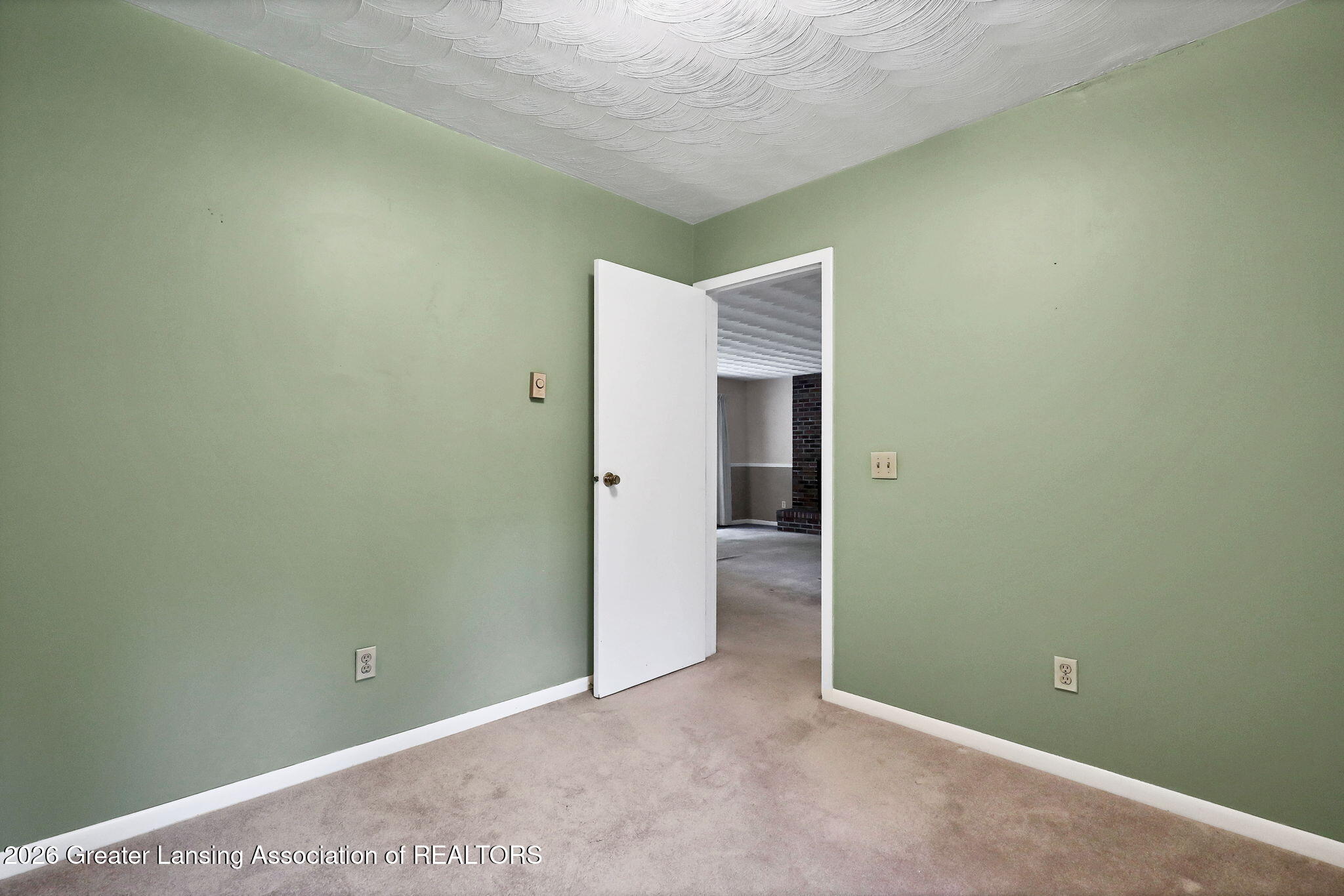 916 North Ainger Road Charlotte, MI 48813 - Photo 24 of 43 22-web-or-mls-9I3A0442