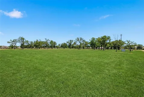 a view of a grassy field with trees in the background