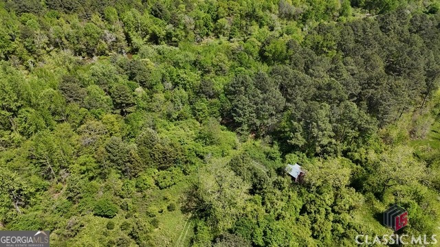 0 Moore Road Elberton, GA 30635 - Photo 17 of 67