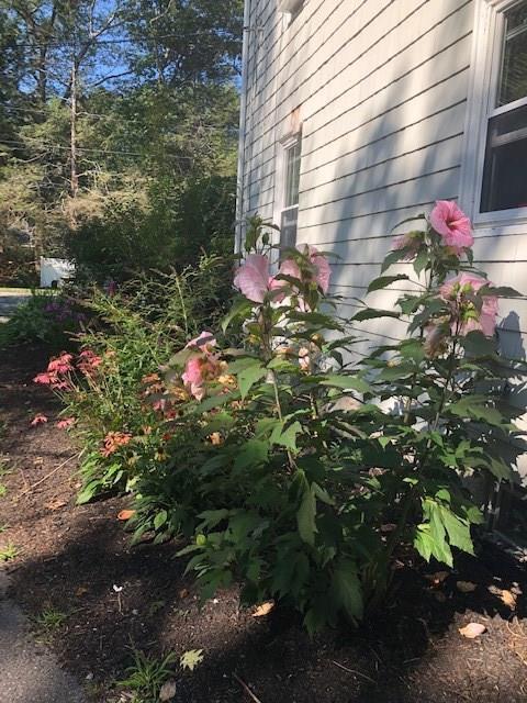 82 Ocean House Road Cape Elizabeth, ME 04107 - Photo 34 of 35 Photo