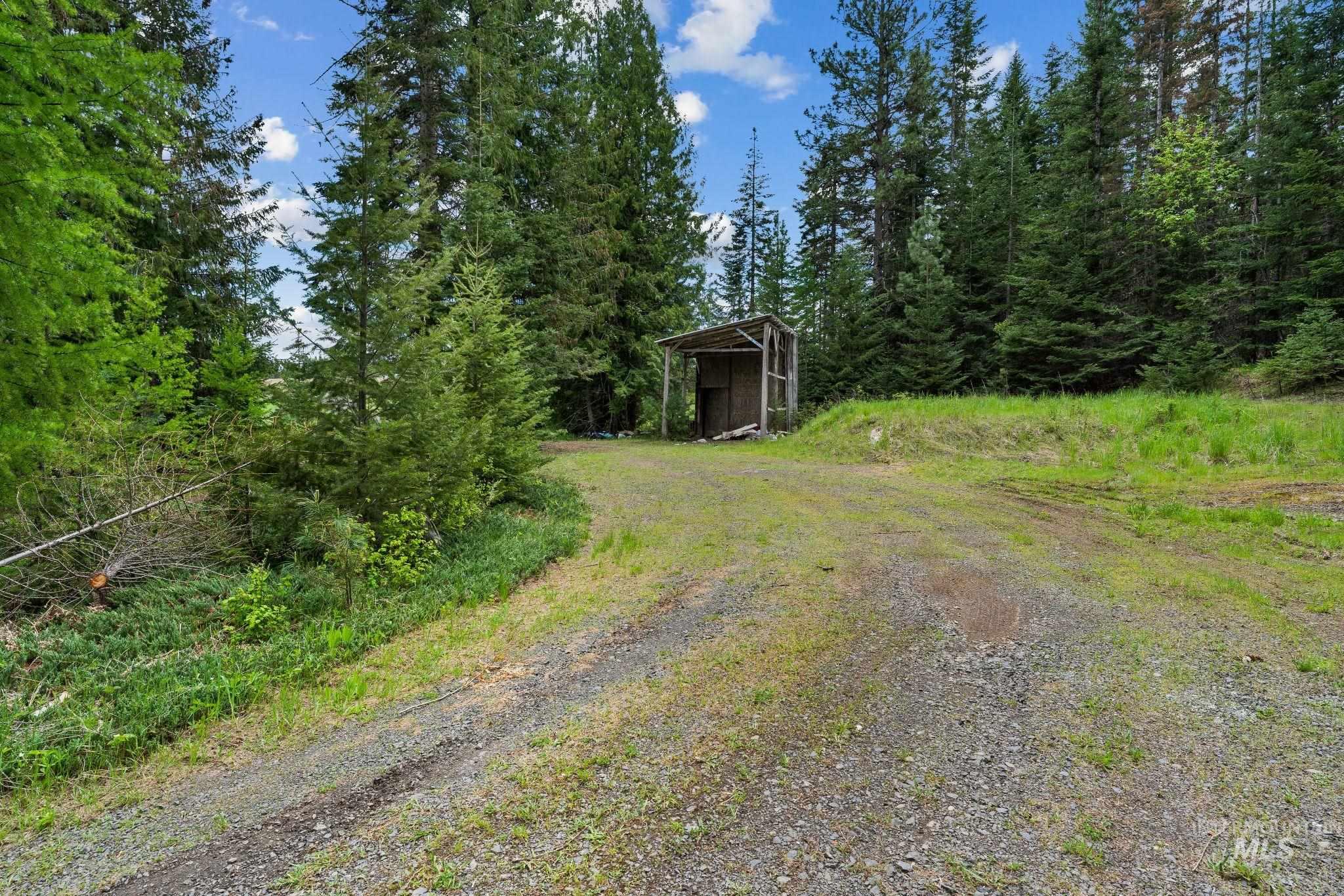 4715 Freeman Creek Road Lenore, ID 83541 - Photo 39 of 50