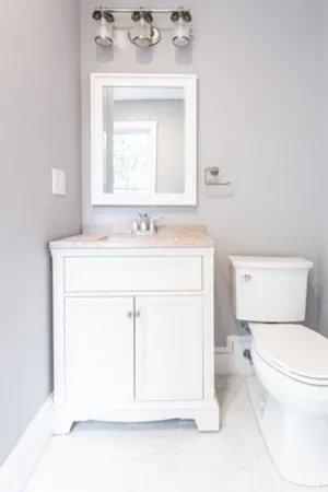 a bathroom with a sink a toilet and a mirror