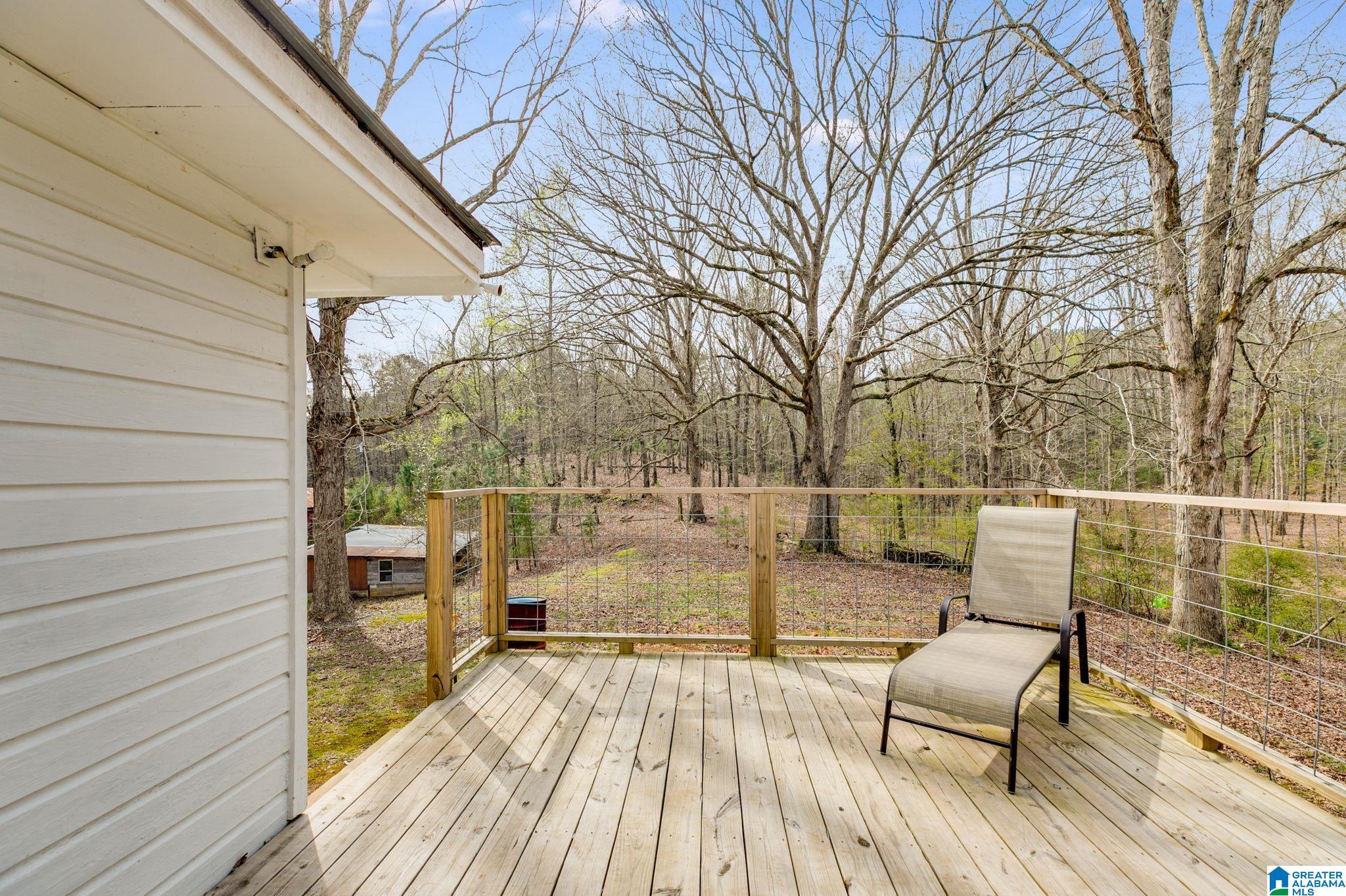 820 Lees Bridge Road Delta, AL 36258 - Photo 26 of 34 Gallery Image 26