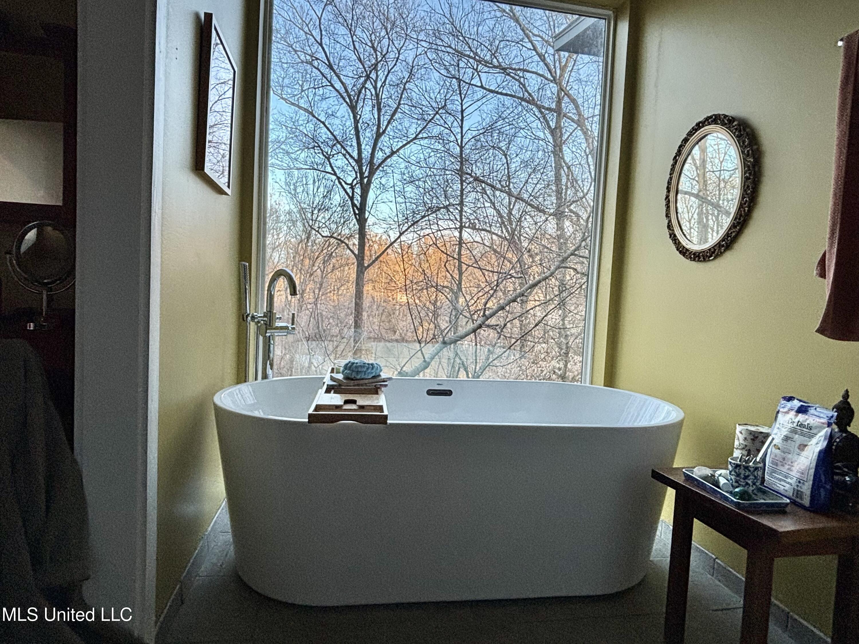 11455 1st Hickory Nut Cove Hernando, MS 38632 - Photo 14 of 19 FullSizeRender