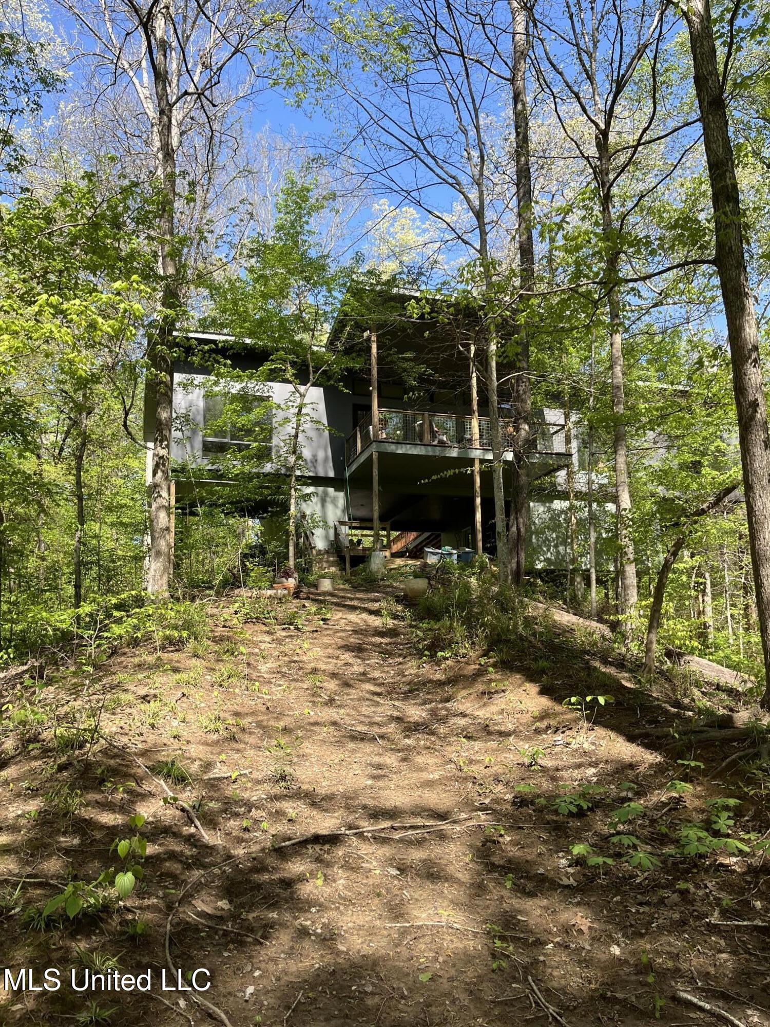 11455 1st Hickory Nut Cove Hernando, MS 38632 - Photo 17 of 19 IMG_1541