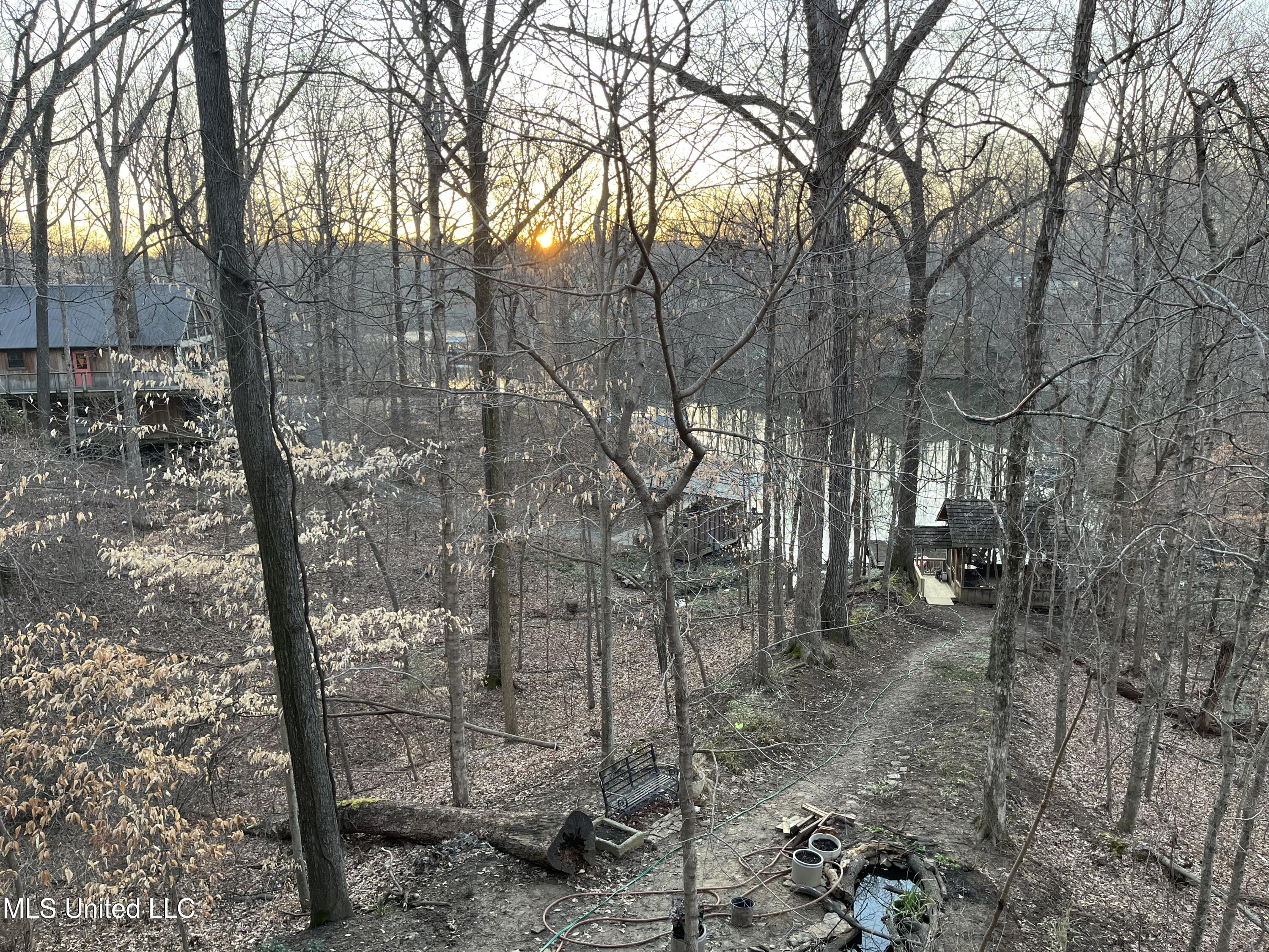 11455 1st Hickory Nut Cove Hernando, MS 38632 - Photo 19 of 19 IMG_1209