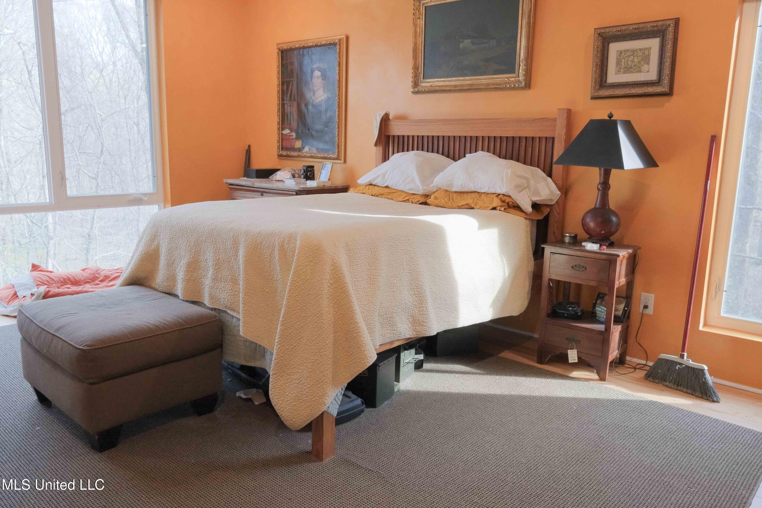 11455 1st Hickory Nut Cove Hernando, MS 38632 - Photo 9 of 19 untitled-1079