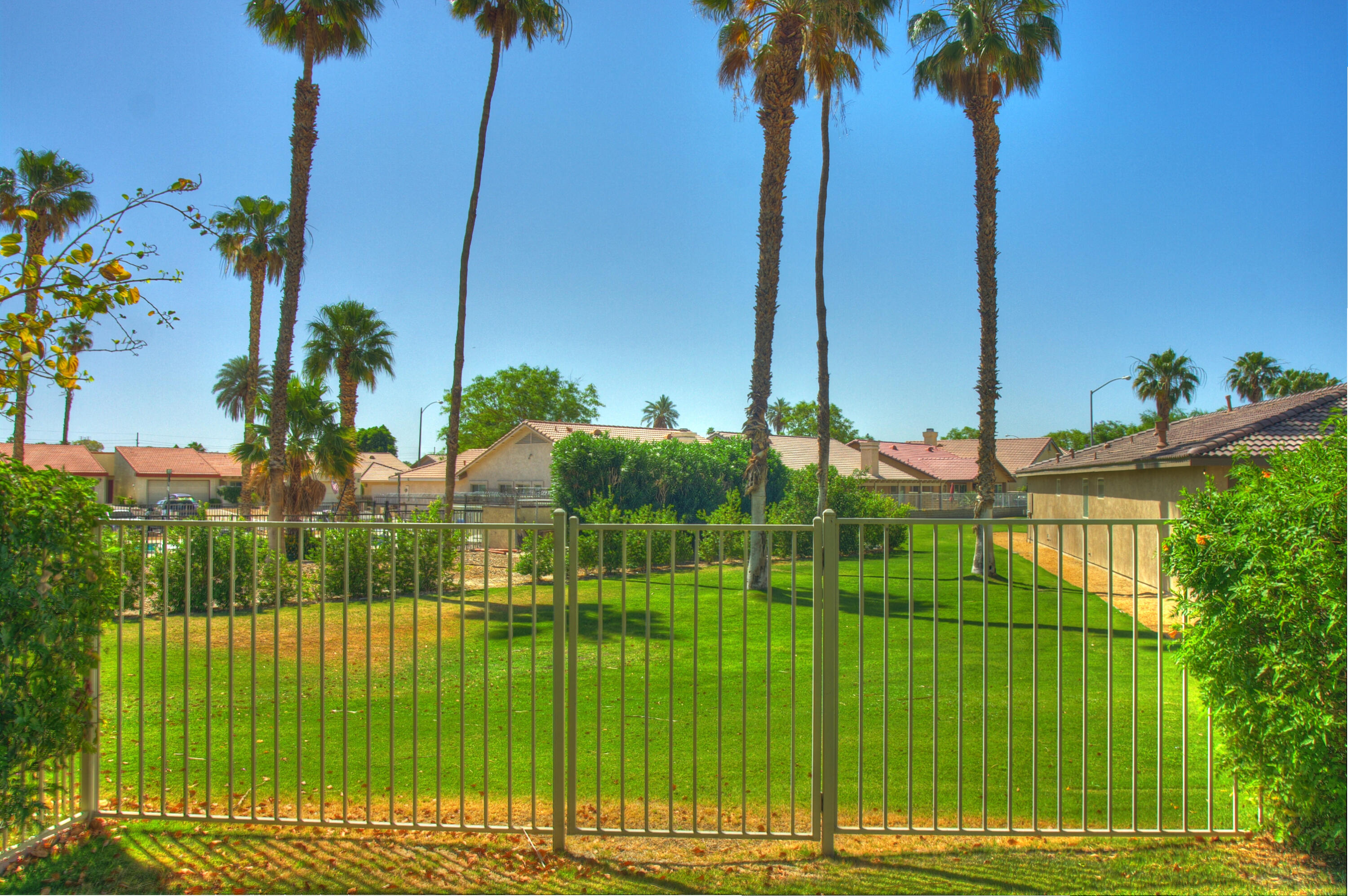 82799 Burnette Drive Indio, CA 92201 - Photo 30 of 36 a view of a garden