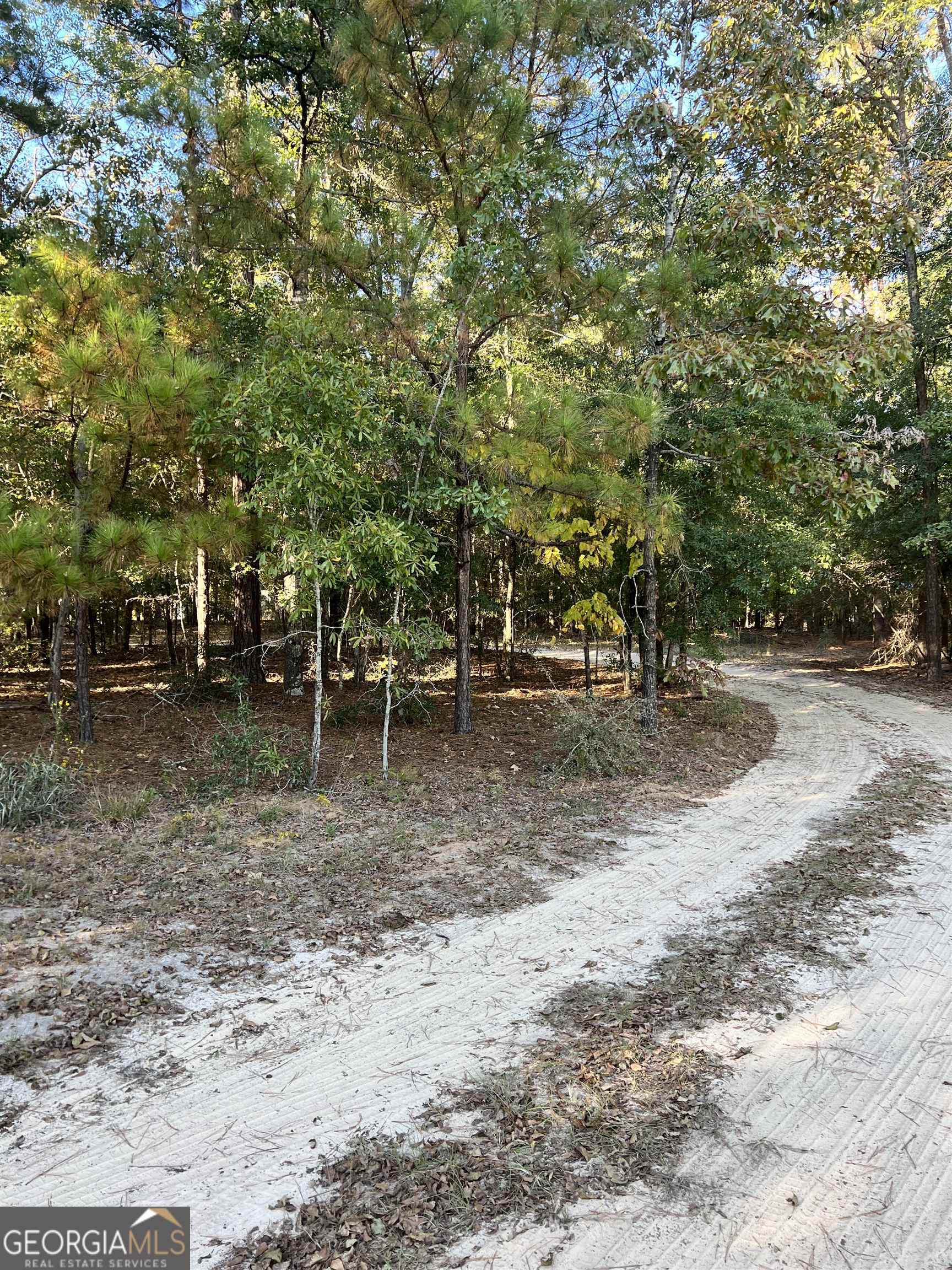 2382 Gallimore Mill Road Jeffersonville, GA 31044 - Photo 72 of 122
