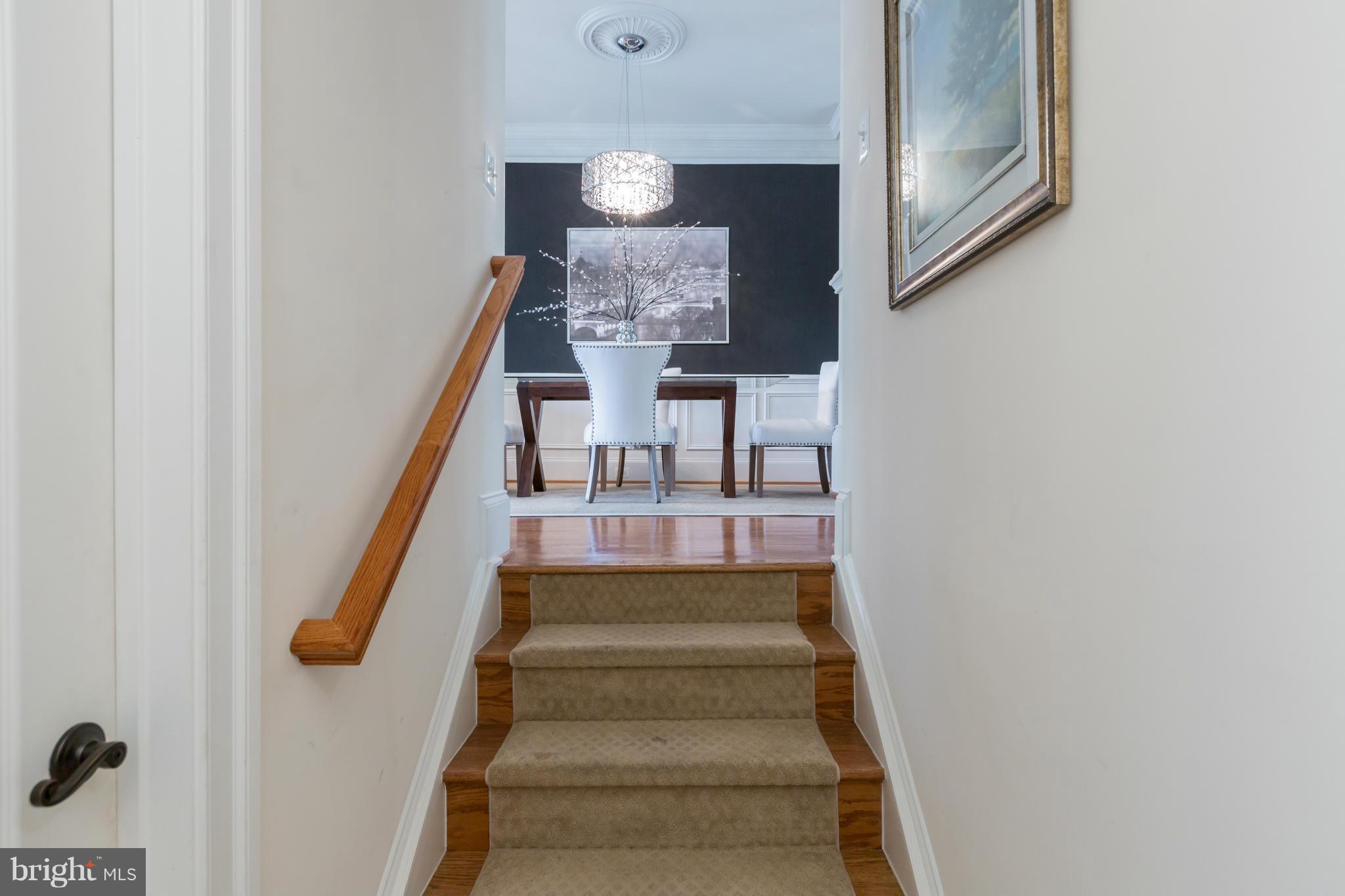 722 Carpenter Road Alexandria, VA 22314 - Photo 19 of 28 InteriWide staircase with low stair risers