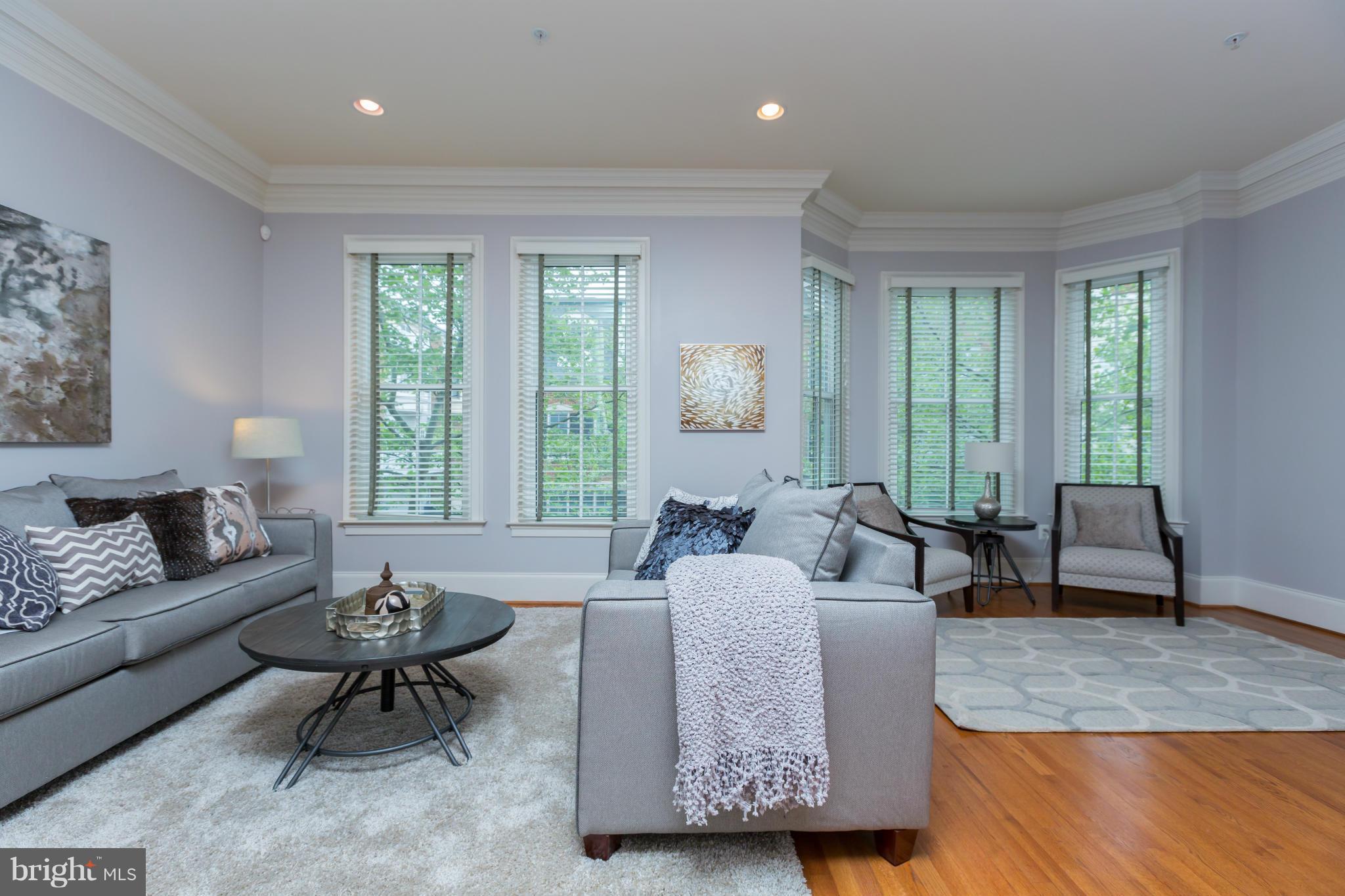 722 Carpenter Road Alexandria, VA 22314 - Photo 8 of 28 24' wide Living Room has 2 seating areas