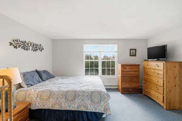 a bedroom with a bed and tv