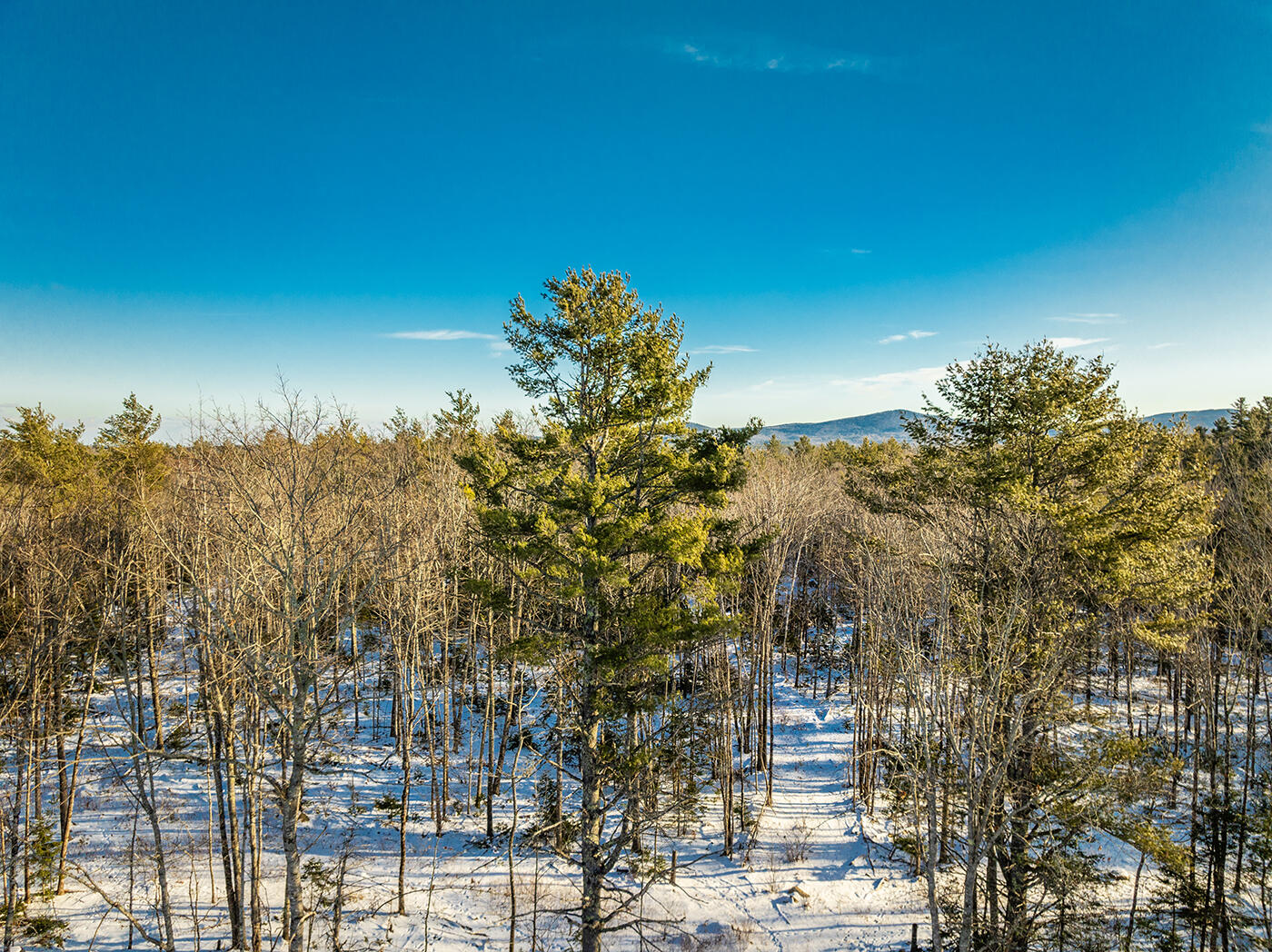 Lot #2 Belfast Road Lincolnville, ME 04849 - Photo 7 of 14 DJI_0739