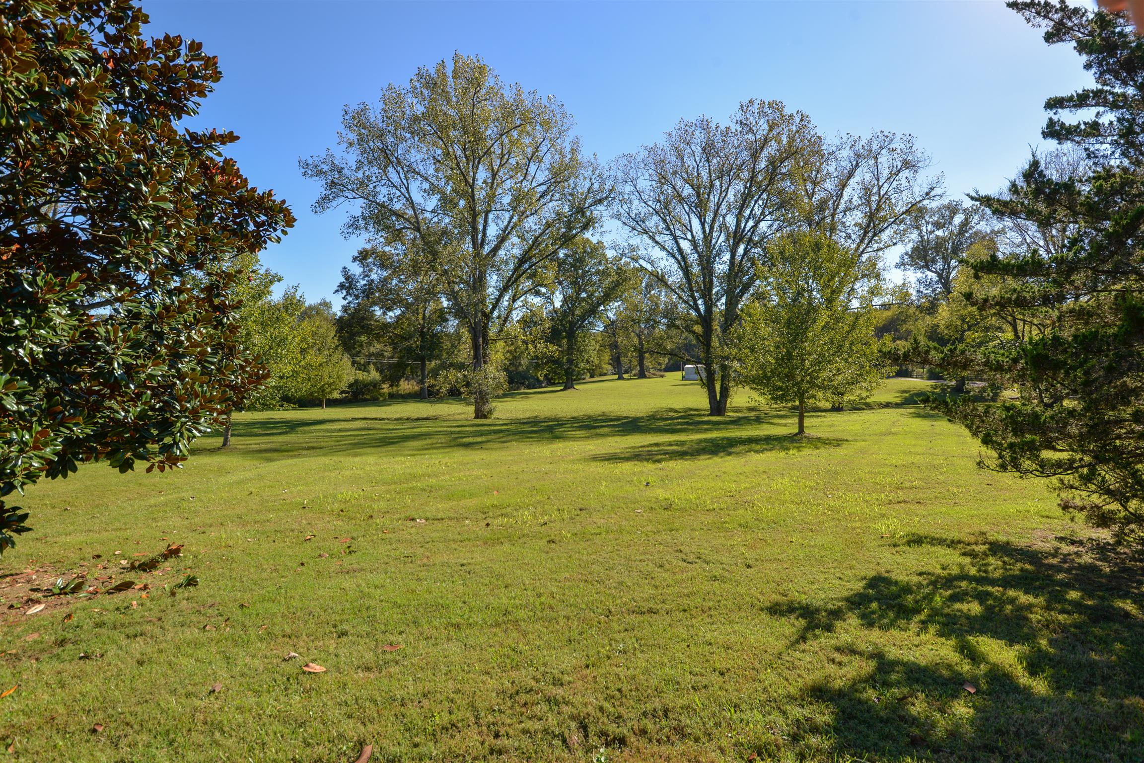 157 Vanderbilt Road Mount Juliet, TN 37122 - Photo 8 of 14 a view of a yard with a tree