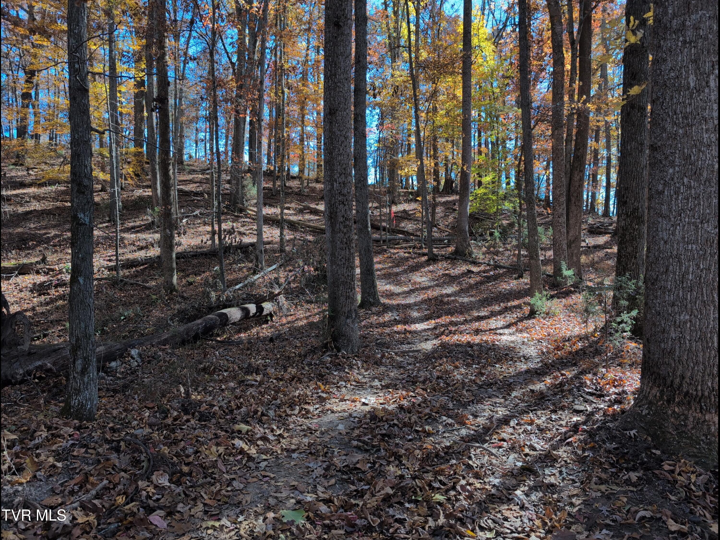 1578 Hunting Hill Road Bluff City, TN 37618 - Photo 9 of 20 IMG_0566