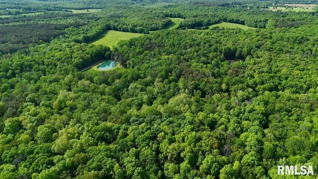 $395,000 | 28 Perkins Lane, Golconda, IL 62938