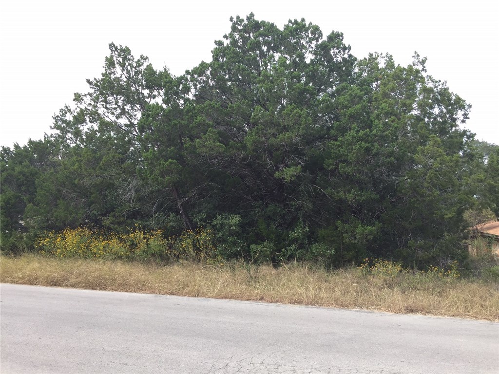 2208 Red Fox Road Austin, TX 78734 - Photo 1 of 1 Gallery Image 1