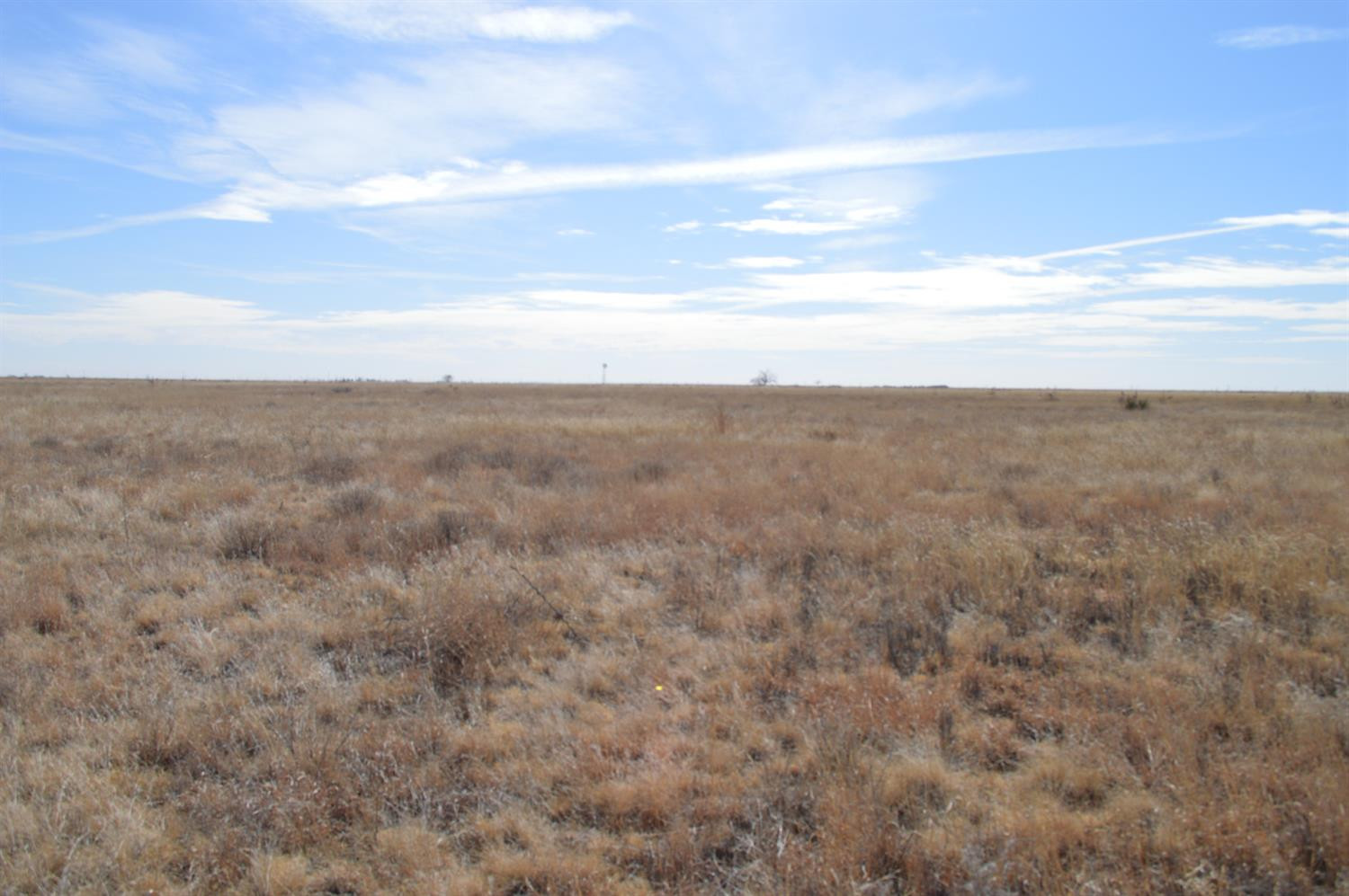 6876 Filly Road Lubbock, TX 79407 - Photo 3 of 17 a view of an ocean