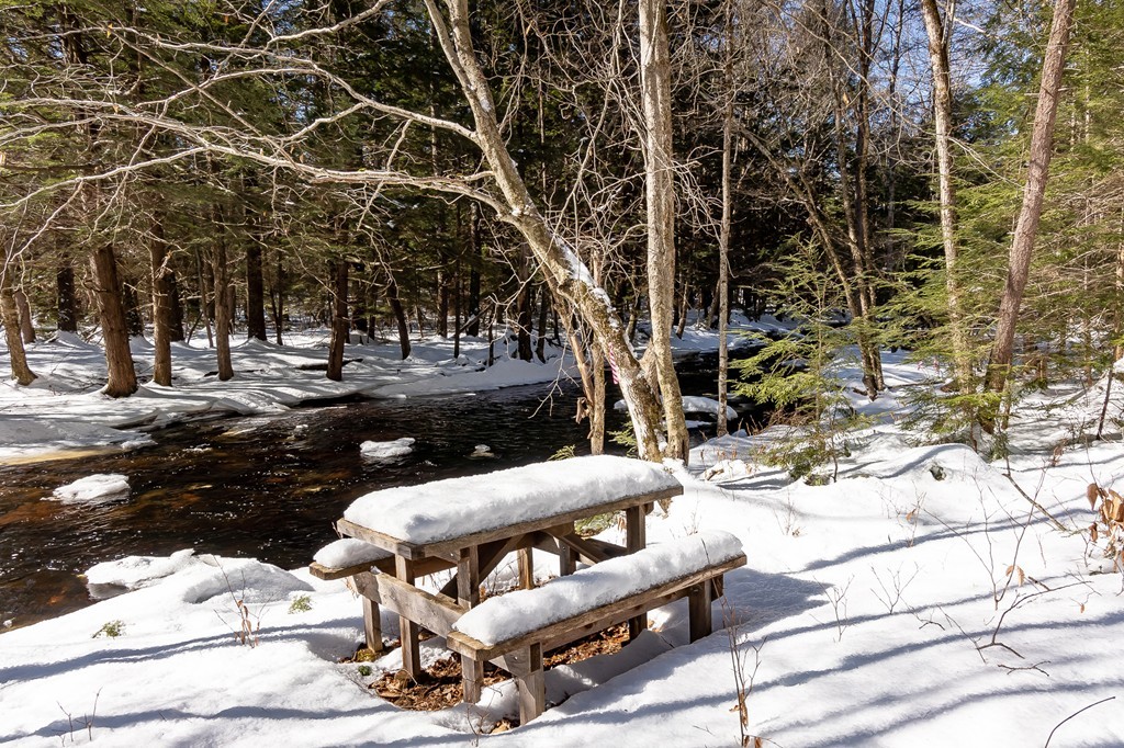 0 Brown Road Royalston, MA 01368 - Photo 1 of 16