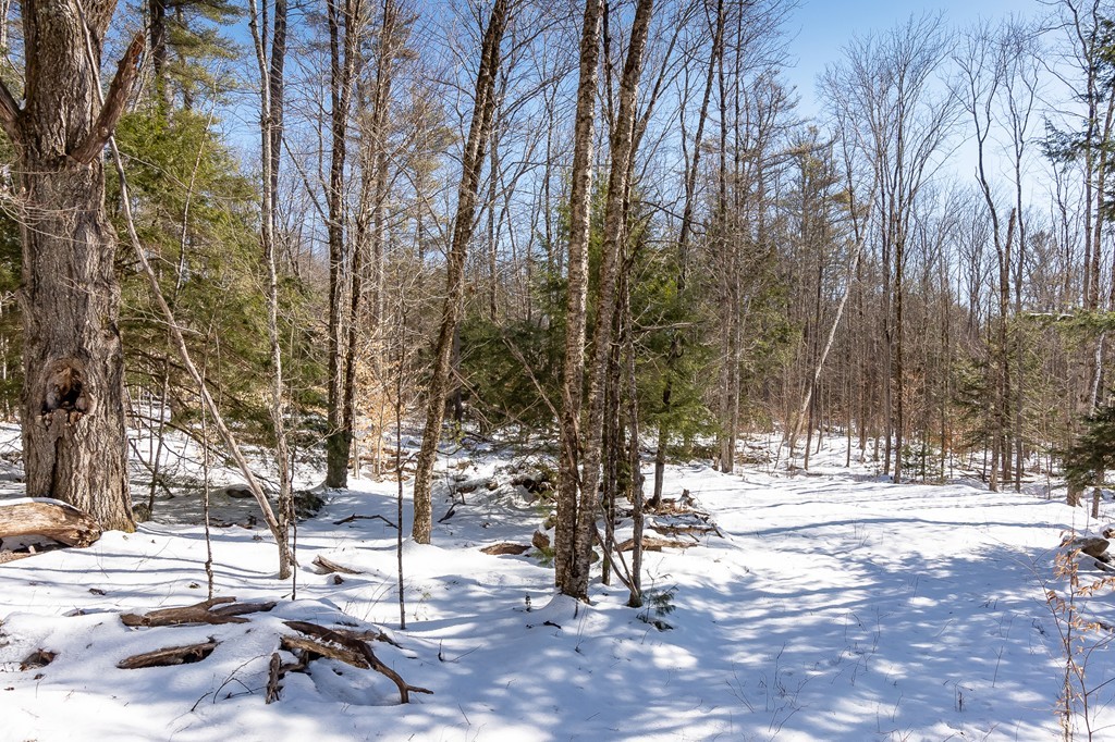 0 Brown Road Royalston, MA 01368 - Photo 11 of 16