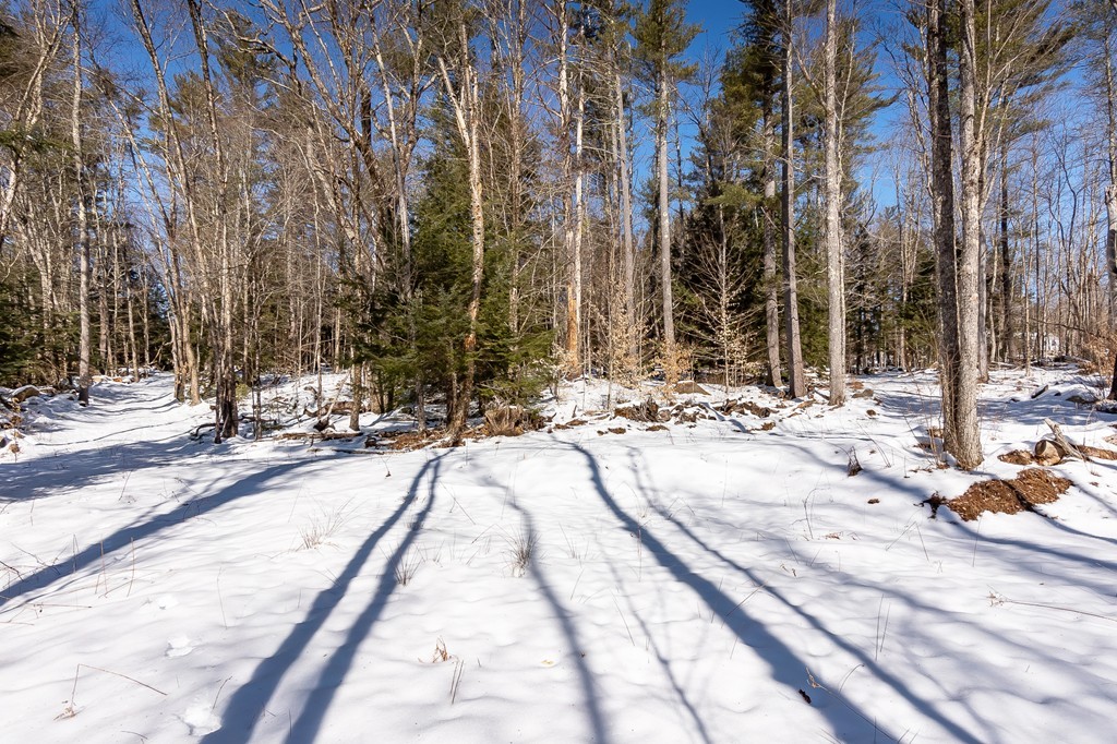 0 Brown Road Royalston, MA 01368 - Photo 12 of 16