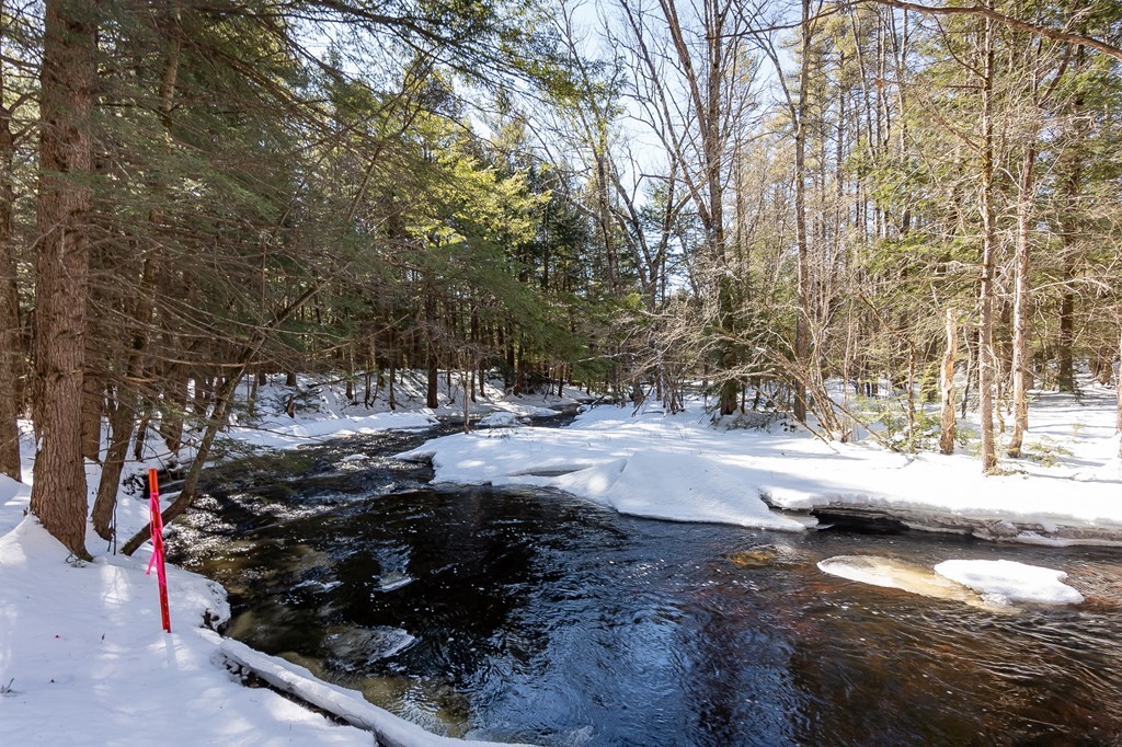 0 Brown Road Royalston, MA 01368 - Photo 13 of 16