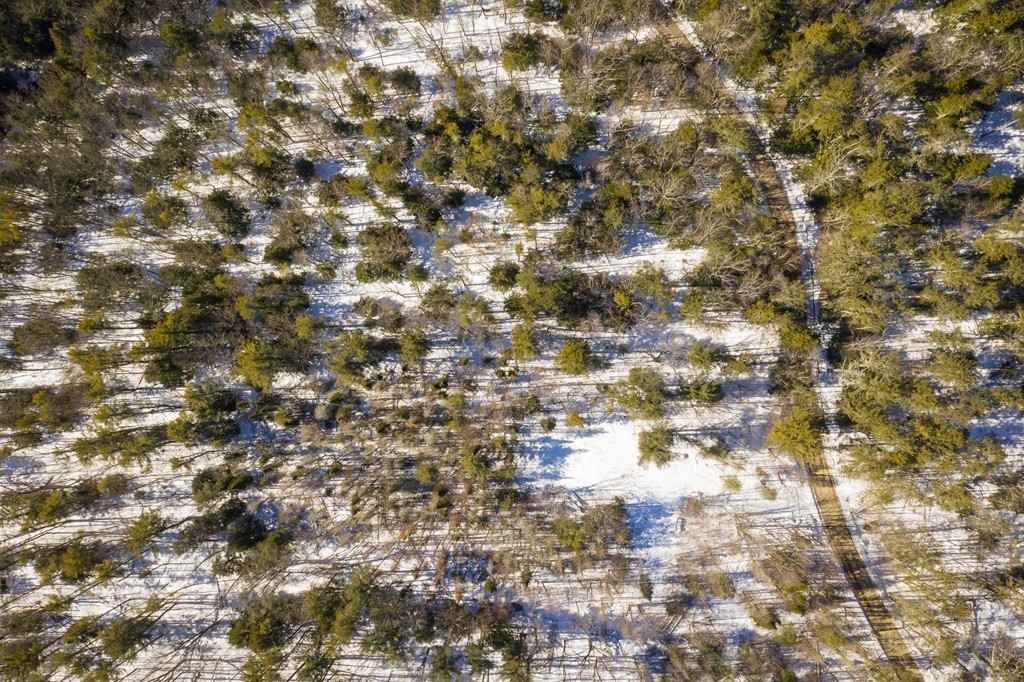 0 Brown Road Royalston, MA 01368 - Photo 16 of 16