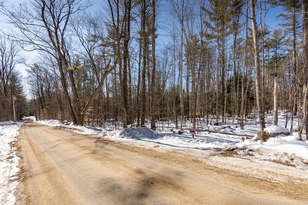 0 Brown Road Royalston, MA 01368 - Photo 3 of 16