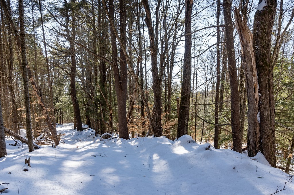 0 Brown Road Royalston, MA 01368 - Photo 6 of 16