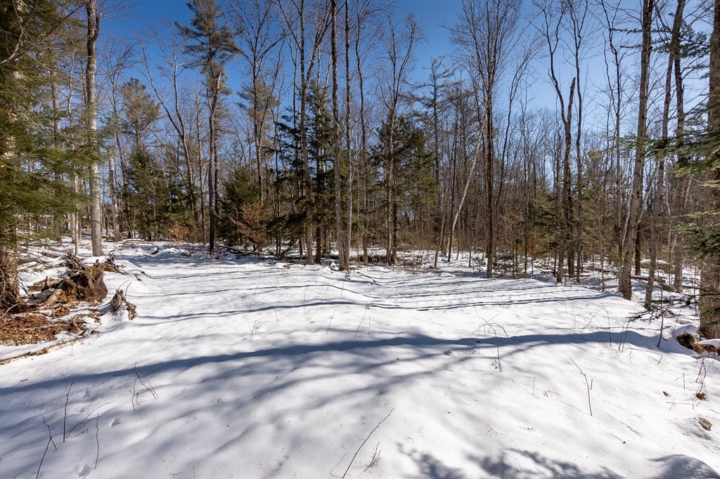 0 Brown Road Royalston, MA 01368 - Photo 7 of 16
