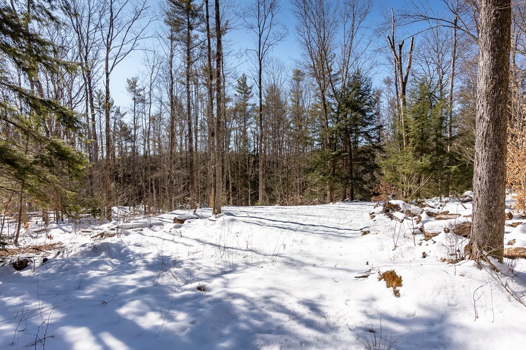 0 Brown Road Royalston, MA 01368 - Photo 8 of 16