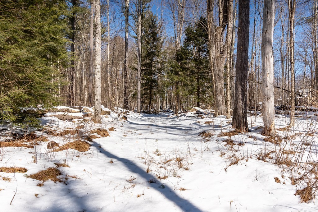 0 Brown Road Royalston, MA 01368 - Photo 9 of 16