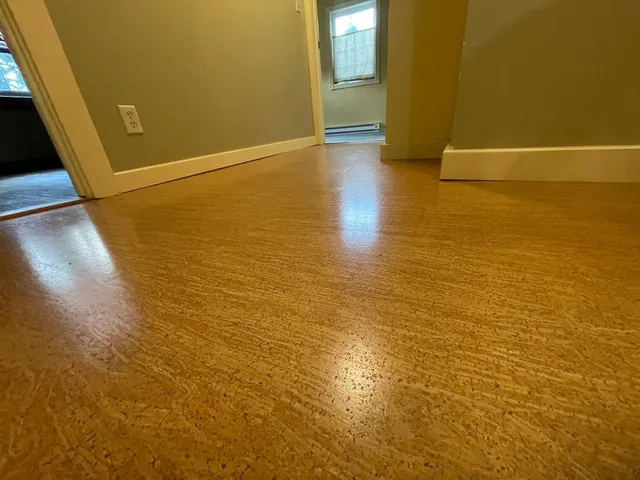 $295,000 | 222 West Pleasant Street, Mankato, MN 56001