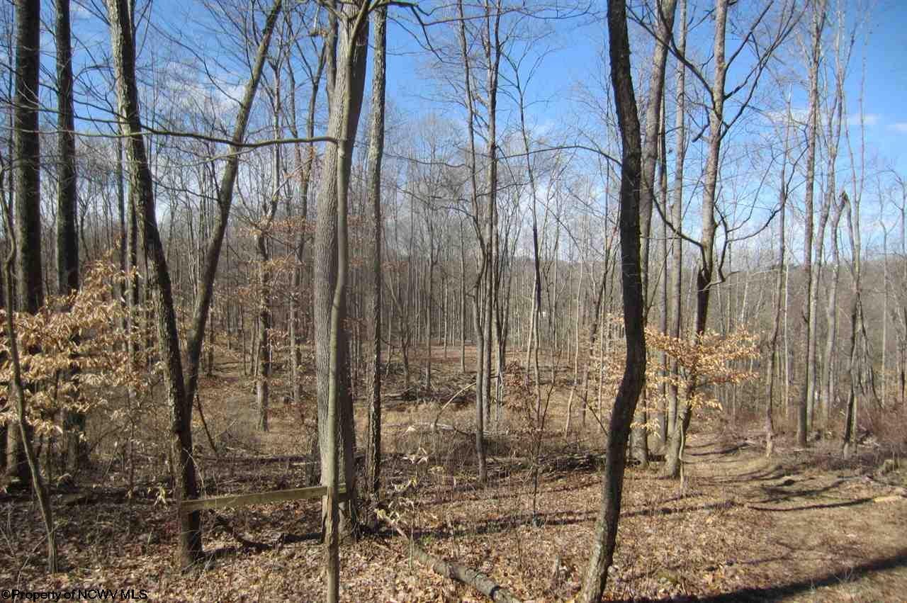 Tbd Sandy Holw Road Bridgeport, WV 26330 - Photo 9 of 20 Gallery Image 9