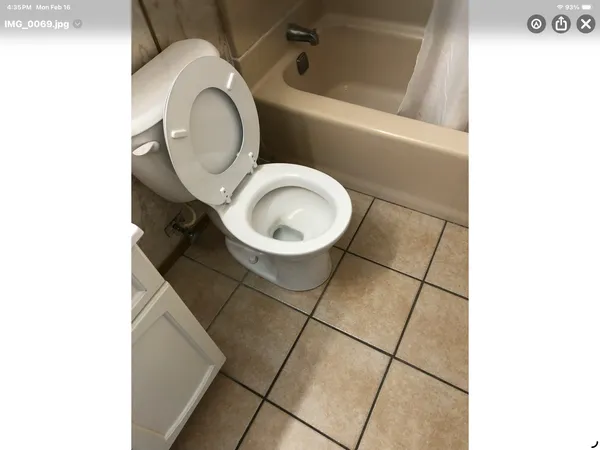 a close view of a toilet in a bathroom