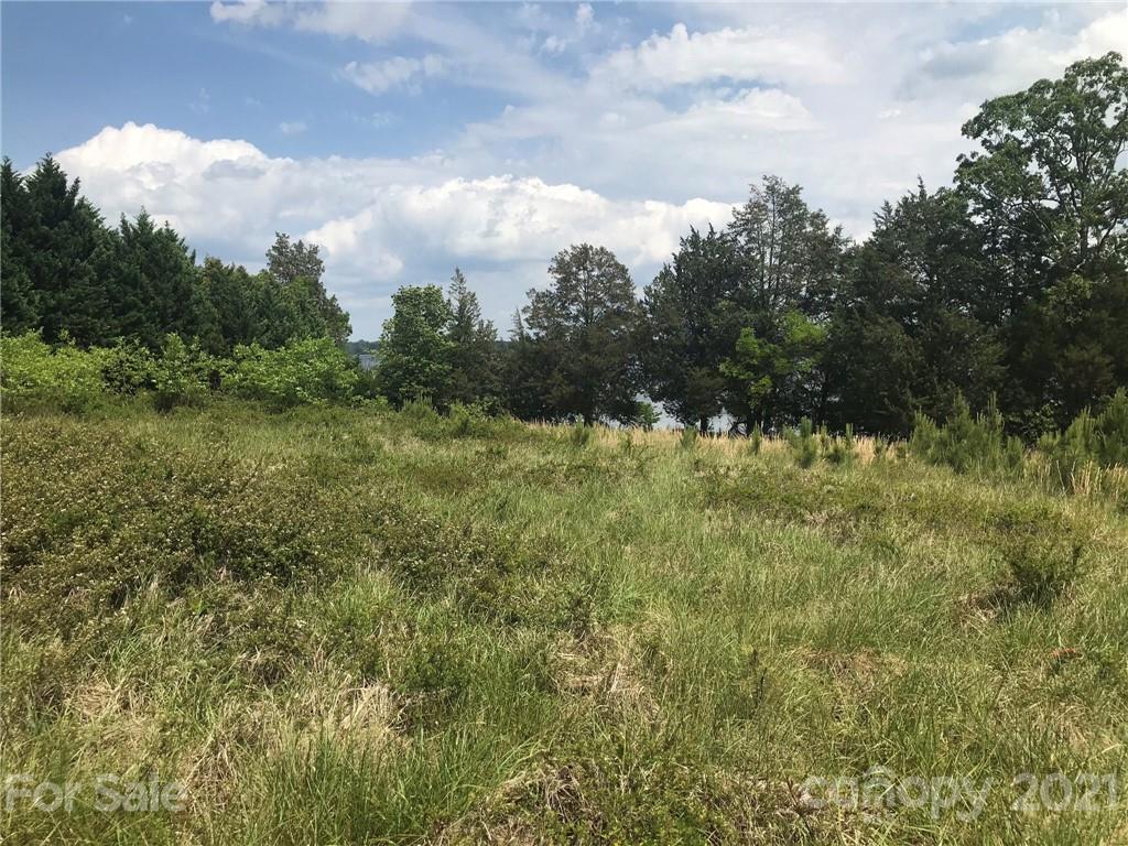 1 Cole Pointe Point, Unit 1 Blair, SC 29015 - Photo 5 of 8 a view of a field of grass and trees
