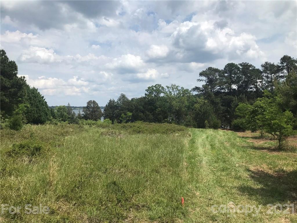 1 Cole Pointe Point, Unit 1 Blair, SC 29015 - Photo 6 of 8 a big yard with lots of green space