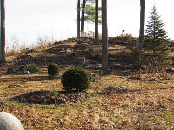 Gallery Image 6
