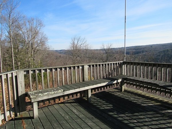 Gallery Image 7
