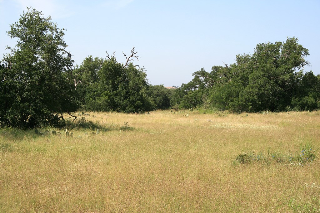 0 Other Llano, TX 78643 - Photo 9 of 33