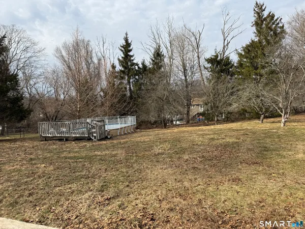 a large tree is standing in the middle of a yard