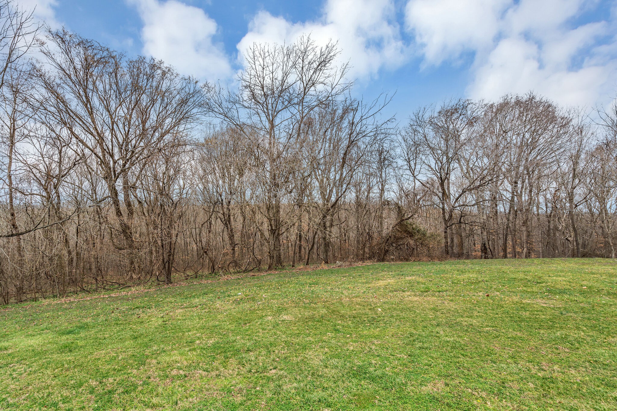 3716 Dobbin Road Springfield, TN 37172 - Photo 32 of 34 a view of a yard with large trees