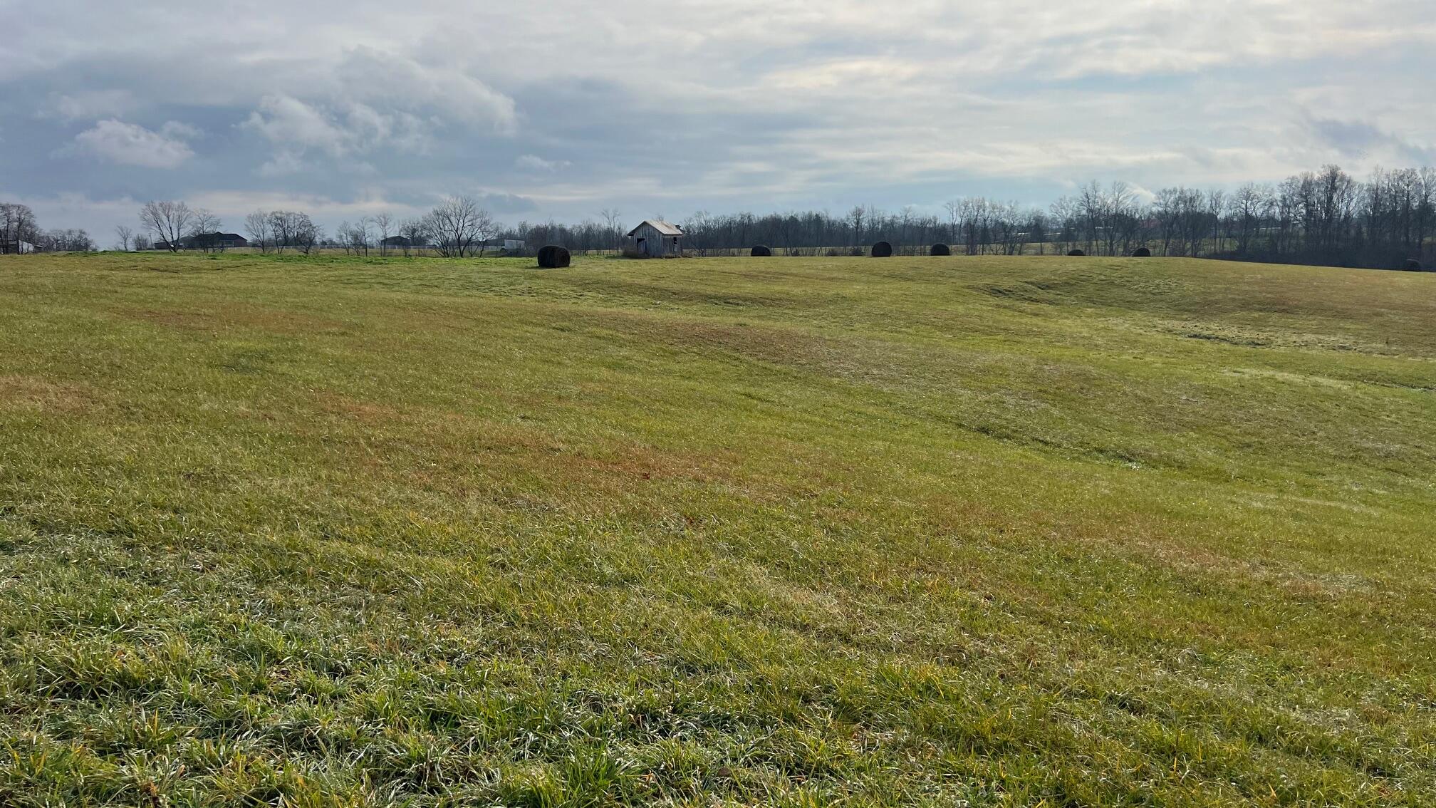 360-5 Mulligan Road Dry Ridge, KY 41035 - Photo 12 of 19