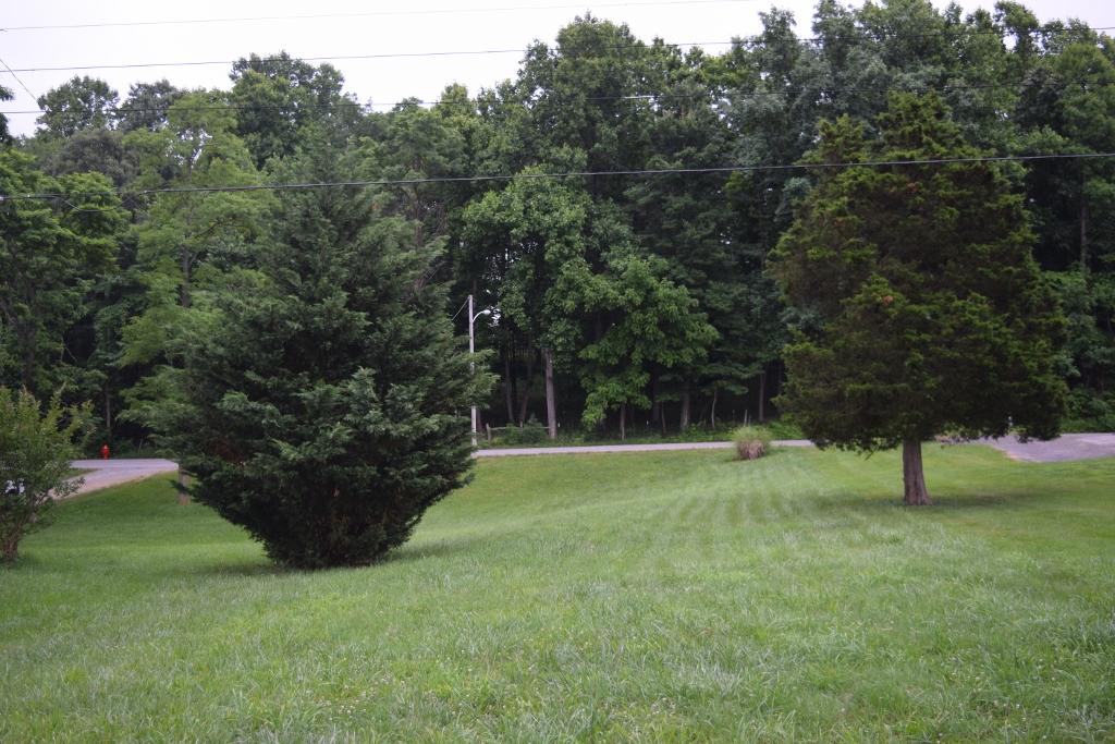 760 Tower Road Southeast, Unit 762 Christiansburg, VA 24073 - Photo 12 of 37 DSC_0195 (1024x683)