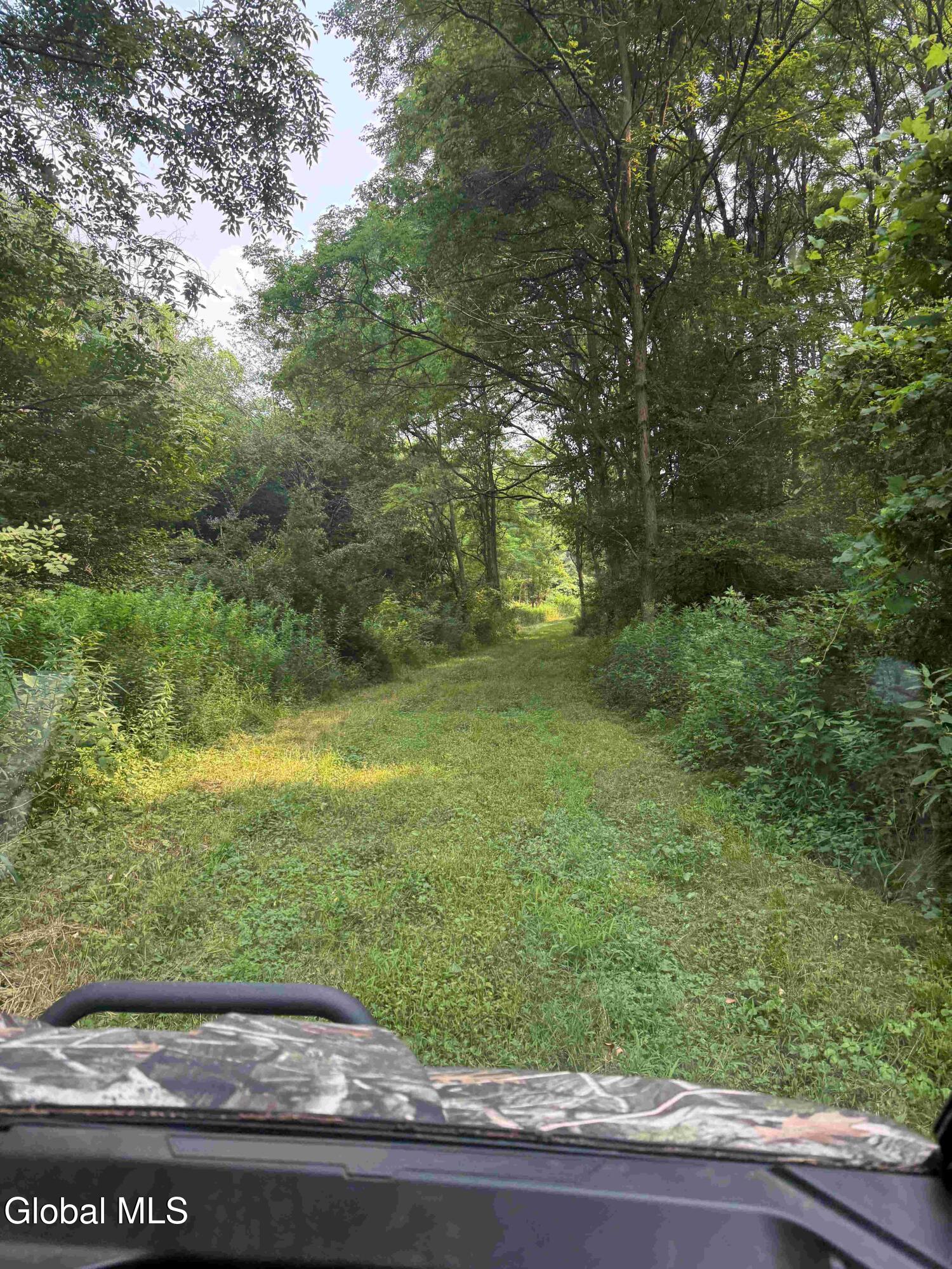 202 Eagle Bridge Road Hoosick, NY 12057 - Photo 42 of 62 Staring_42.0