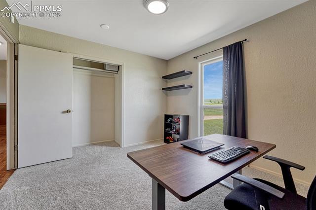 7550 Soap Weed Road Calhan, CO 80808 - Photo 19 of 50 Gallery Image 19